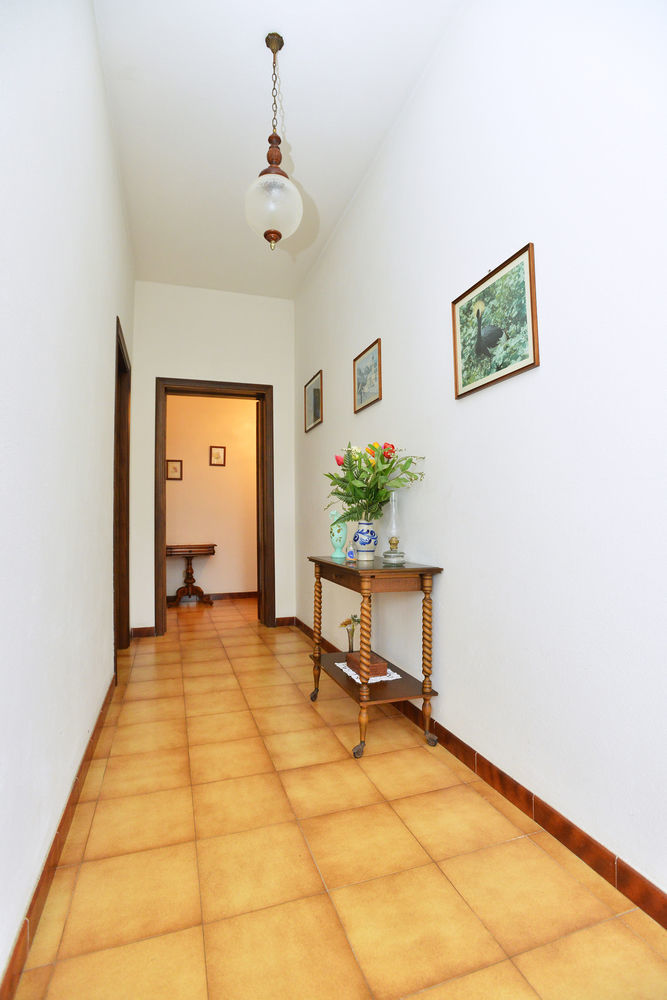 Izzhome Cozy Sunflowers Pula Εξωτερικό φωτογραφία